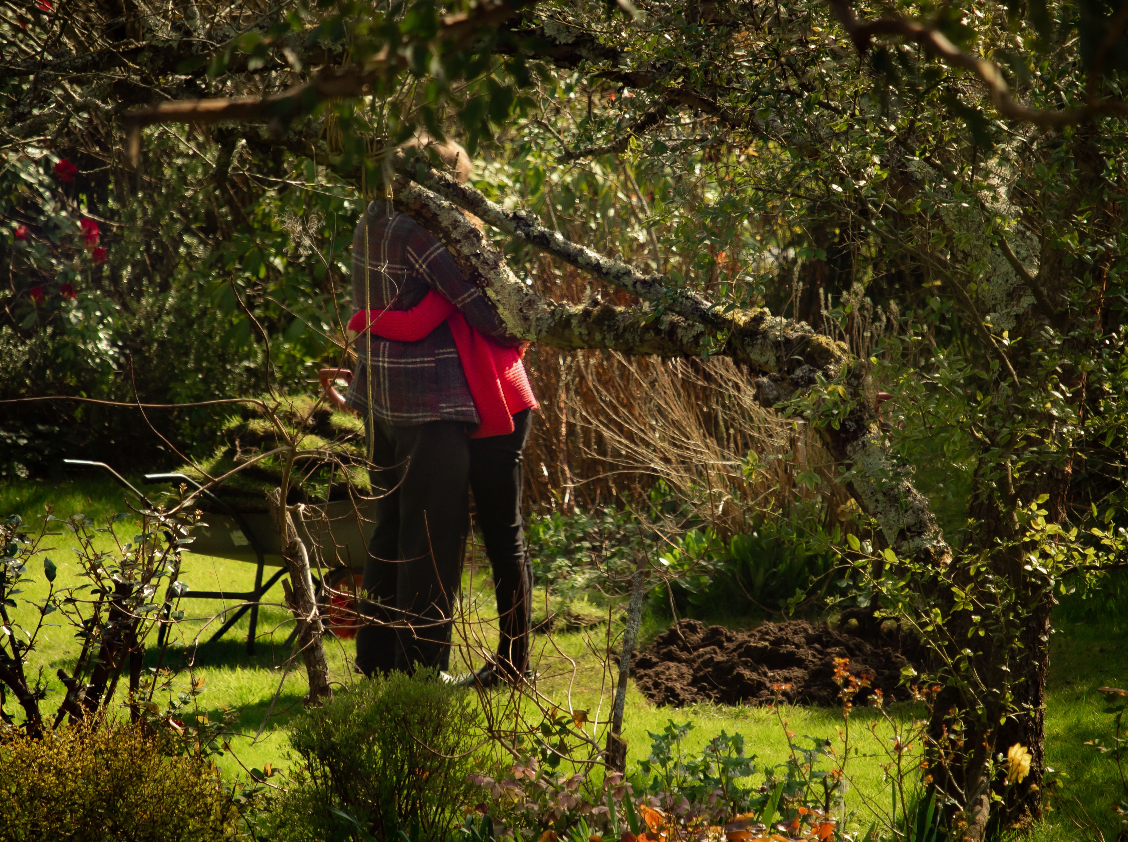 Two people embrace in a garden. Their heads are obscured by a tree branch.