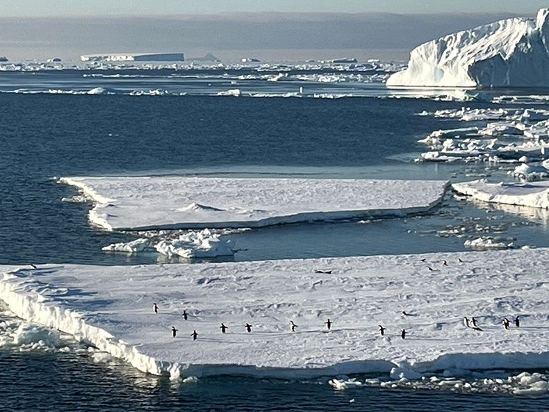 Penguins run along an ice floe in the Antarctic.