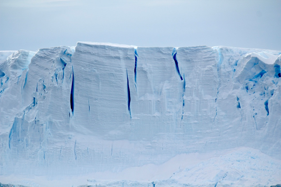 An ice shelf in front of a white sky background. Cracks are showing in the blue-tinged shelf.