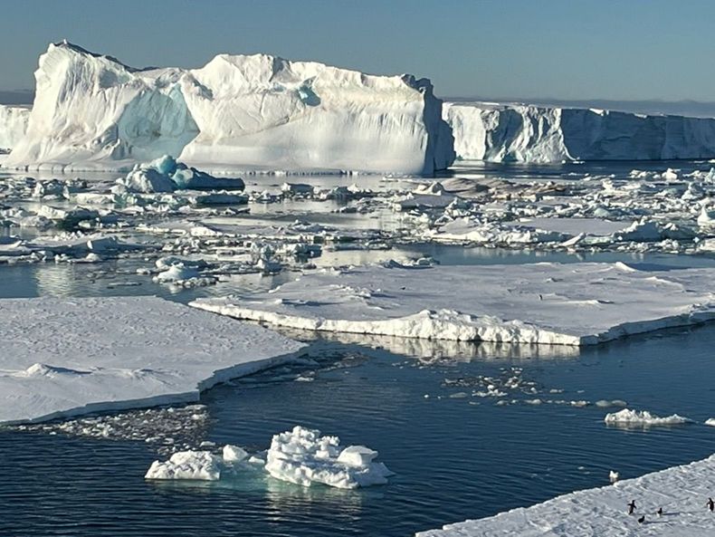 An ice floe in the Antarctic.